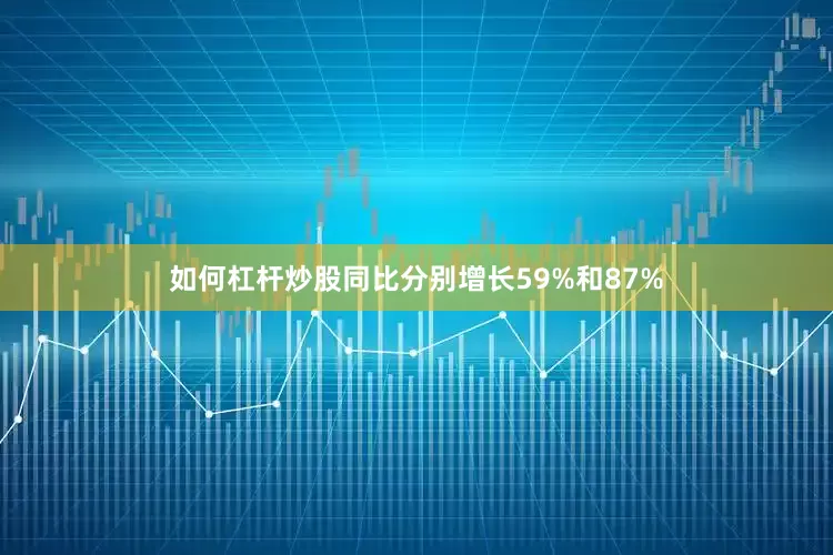 如何杠杆炒股同比分别增长59%和87%
