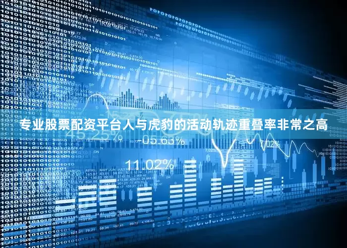 专业股票配资平台人与虎豹的活动轨迹重叠率非常之高