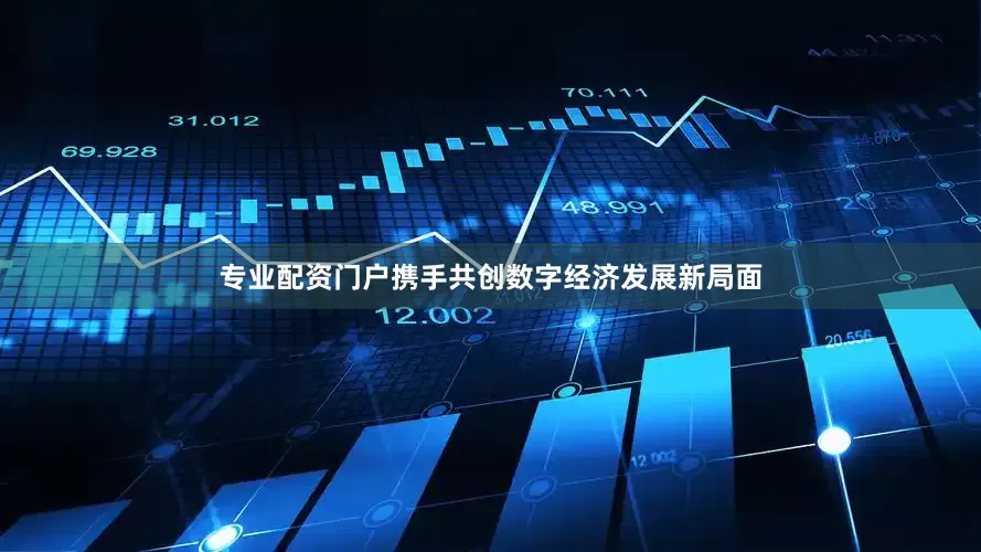 专业配资门户携手共创数字经济发展新局面